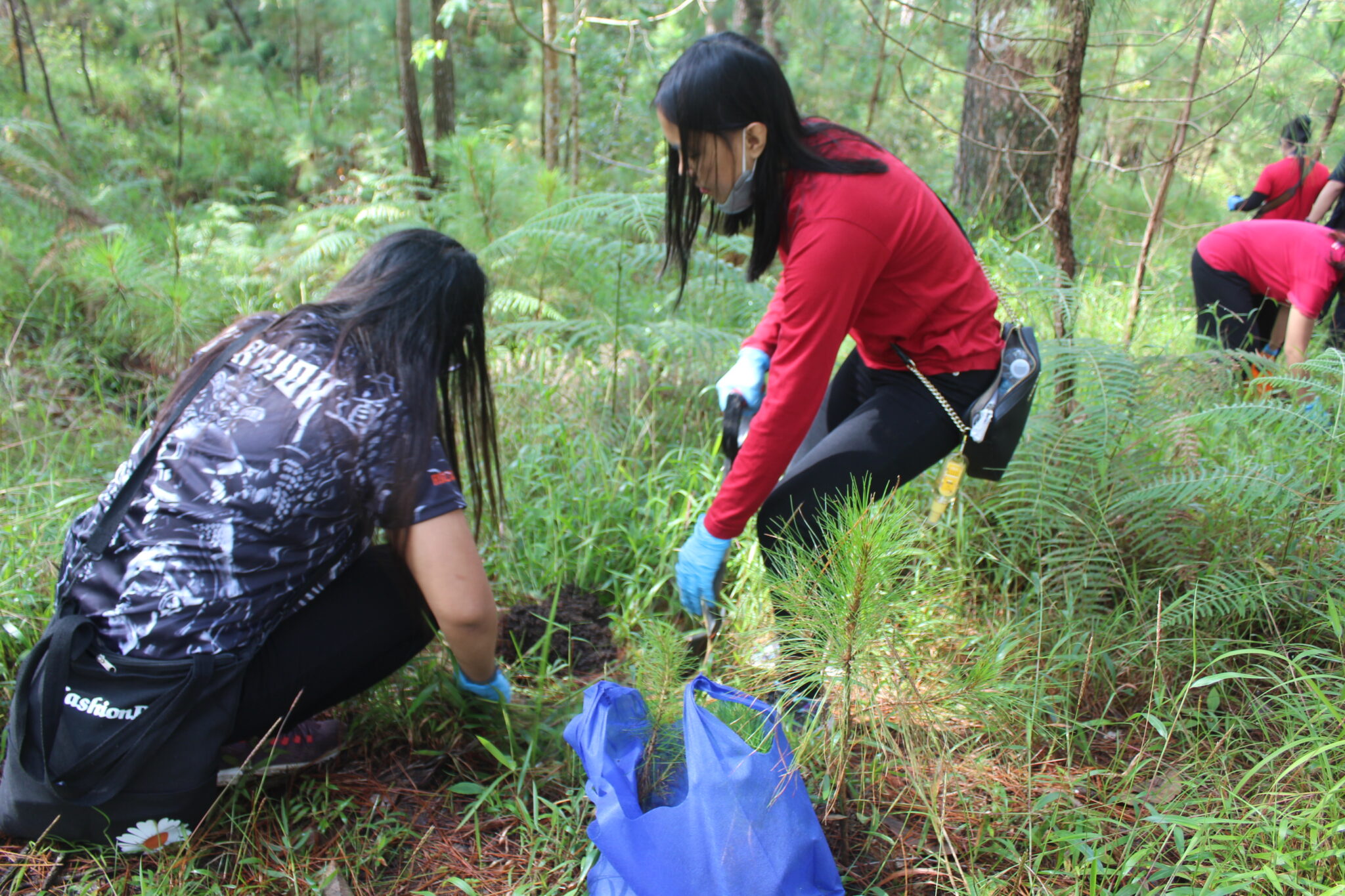 forest-conservation-program-full-steam-ahead-says-the-philippines